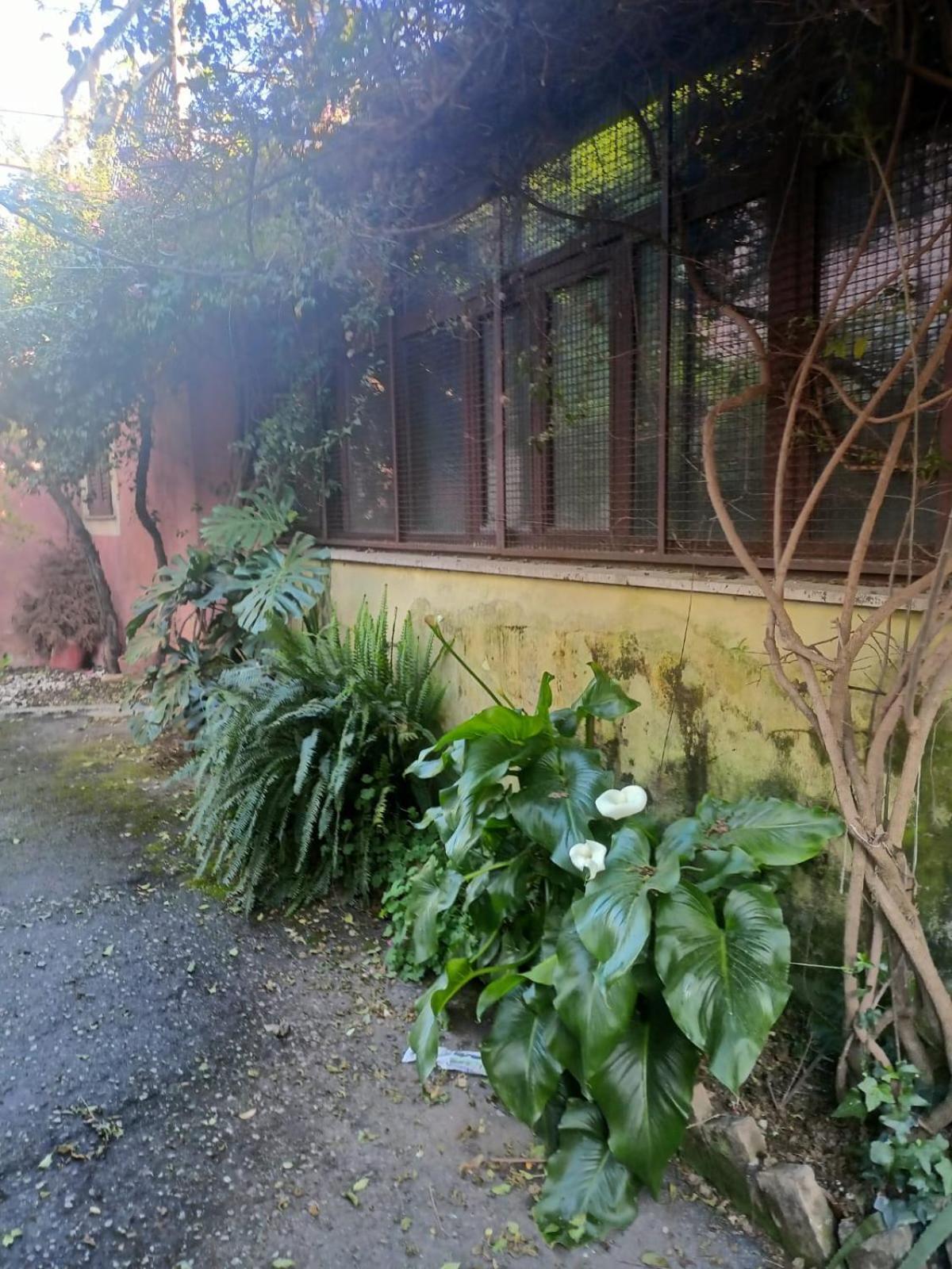 Vakantiehuis Terrazza Quintili - A Un Passo Dal Centro Di